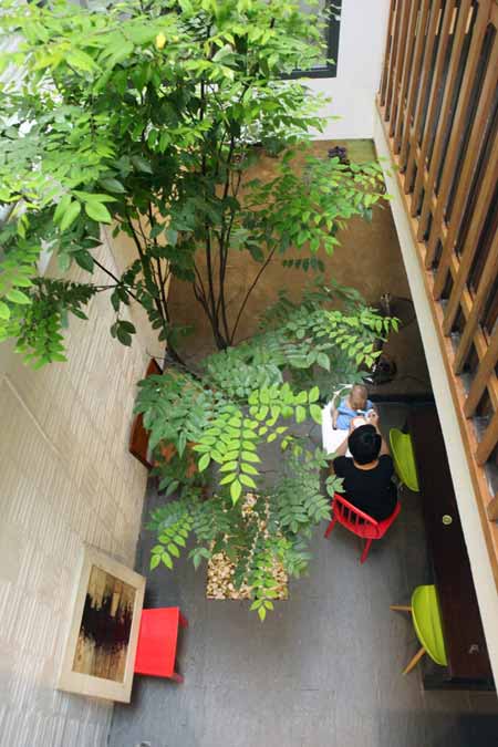 Thi C&ocirc;ng C&acirc;y Hoa Giả