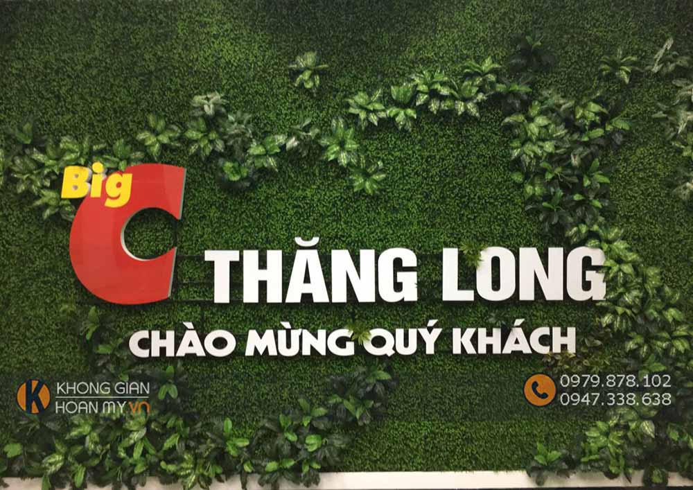 Thi C&ocirc;ng C&acirc;y Hoa Giả
