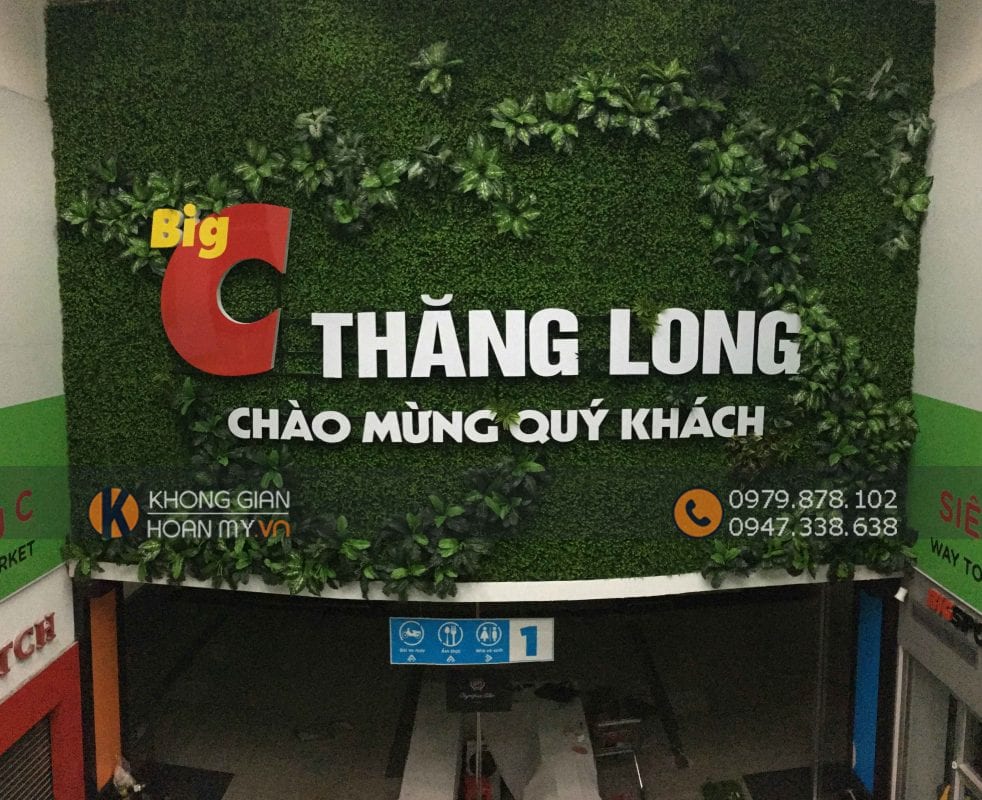 Thi C&ocirc;ng C&acirc;y Hoa Giả